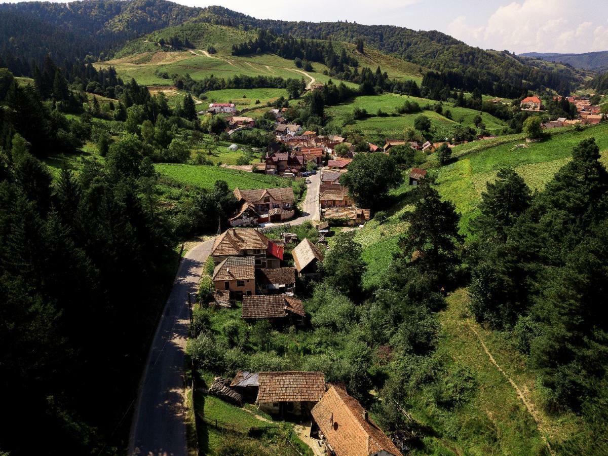 House Of Seasons Villa Bran  Bagian luar foto
